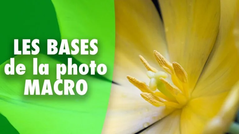 Lire la suite à propos de l’article Les bases de la photographie macro (macro-photographie)